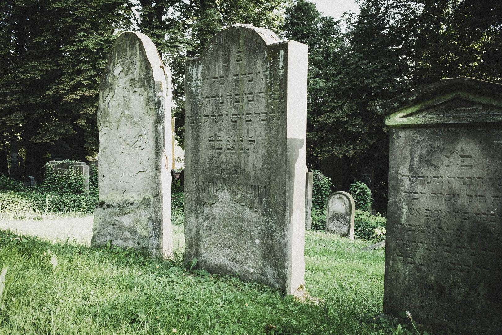 Jüdischer Friedhof Kassel-Bettenhausen